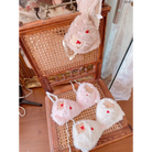 Ultra Plush Teddy Bear Lingerie Set for Cuties - lingerie set